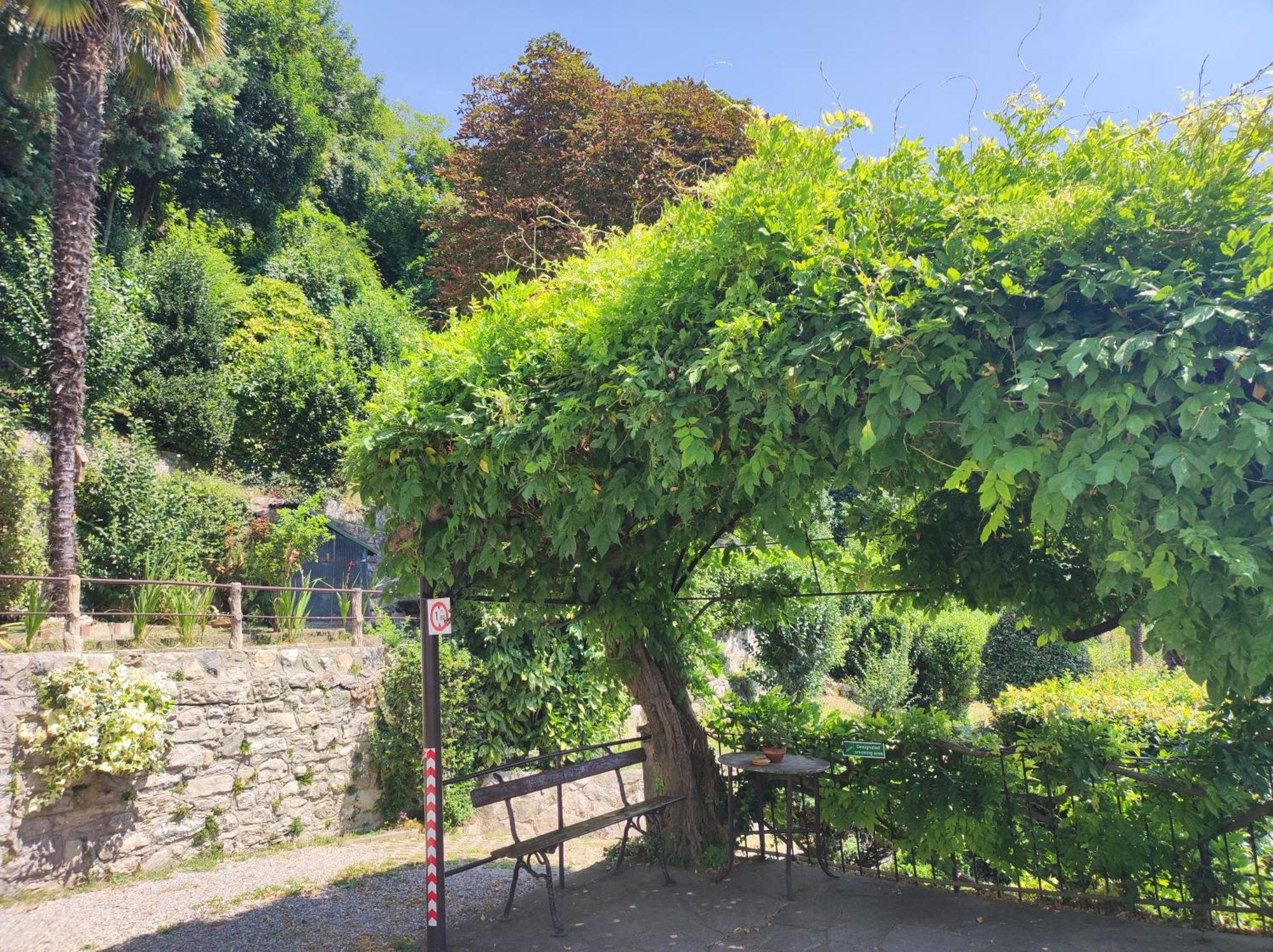 Villa Antonella, App. Vittoria Tavernerio Kültér fotó